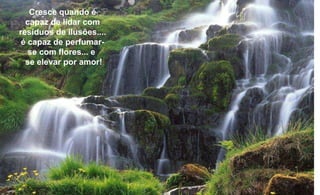 Cresce quando é capaz de lidar com resíduos de ilusões.... é capaz de perfumar-se com flores... e  se elevar por amor! 