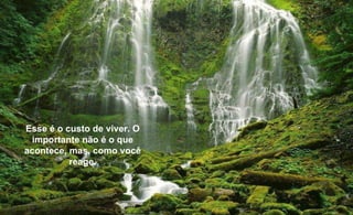 Nový Zéland Esse é o custo de viver. O importante não é o que acontece, mas, como você reage. 