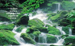 Aljaška Quando aceita a realidade e tem orgulho de vivê-la. 