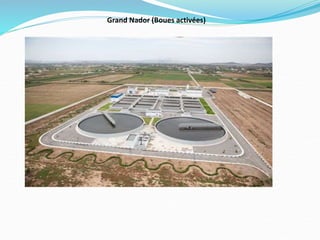 Grand Nador (Boues activées)
 