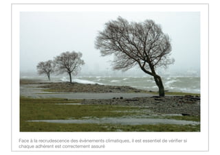 Face à la recrudescence des évènements climatiques, il est essentiel de vériﬁer si
chaque adhérent est correctement assuré

 
