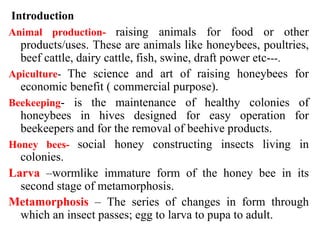 assisting beekeeping and operations.pptx