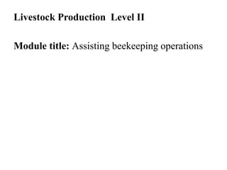 Livestock Production Level II
Module title: Assisting beekeeping operations
 