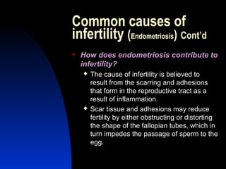 Common causes of
infertility (Endometriosis) Cont’d
   How does endometriosis contribute to
    infertility?
       The cause of infertility is believed to
        result from the scarring and adhesions
        that form in the reproductive tract as a
        result of inflammation.
       Scar tissue and adhesions may reduce
        fertility by either obstructing or distorting
        the shape of the fallopian tubes, which in
        turn impedes the passage of sperm to the
        egg.

        Abdulkareem Sultan Al-Olama
                                 22
 