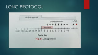 LONG PROTOCOL
 