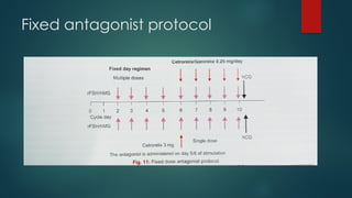 Fixed antagonist protocol
 