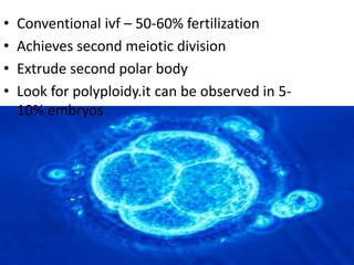 • Conventional ivf – 50-60% fertilization 
• Achieves second meiotic division 
• Extrude second polar body 
• Look for polyploidy.it can be observed in 5- 
10% embryos 
 