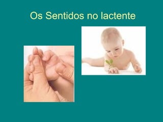 Os Sentidos no lactente

 