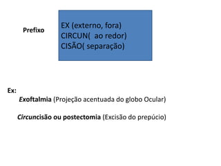 Prefixo
EX (externo, fora)
CIRCUN( ao redor)
CISÃO( separação)
Ex:
Exoftalmia (Projeção acentuada do globo Ocular)
Circunc...