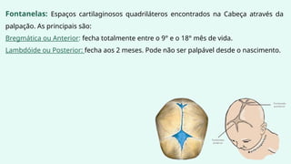Fontanelas: Espaços cartilaginosos quadriláteros encontrados na Cabeça através da
palpação. As principais são:
Bregmática ou Anterior: fecha totalmente entre o 9° e o 18° mês de vida.
Lambdóide ou Posterior: fecha aos 2 meses. Pode não ser palpável desde o nascimento.
 