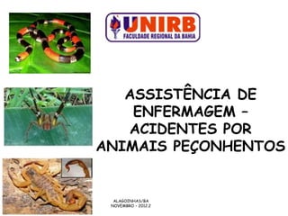 ASSISTÊNCIA DE
    ENFERMAGEM –
   ACIDENTES POR
ANIMAIS PEÇONHENTOS


  ALAGOINHAS/BA
 NOVEMBRO – 2012.2
 