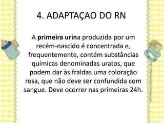 4. ADAPTAÇAO DO RN
A primeira urina produzida por um
recém-nascido é concentrada e,
frequentemente, contém substâncias
químicas denominadas uratos, que
podem dar às fraldas uma coloração
rosa, que não deve ser confundida com
sangue. Deve ocorrer nas primeiras 24h.
 
