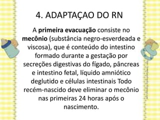 4. ADAPTAÇAO DO RN
A primeira evacuação consiste no
mecônio (substância negro-esverdeada e
viscosa), que é conteúdo do intestino
formado durante a gestação por
secreções digestivas do fígado, pâncreas
e intestino fetal, líquido amniótico
deglutido e células intestinais Todo
recém-nascido deve eliminar o mecônio
nas primeiras 24 horas após o
nascimento.
 