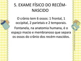 5. EXAME FÍSICO DO RECÉM-
NASCIDO
O crânio tem 6 ossos: 1 frontal, 1
occipital, 2 parietais e 2 temporais.
Fontanela, na anatomia humana, é o
espaço macio e membranoso que separa
os ossos do crânio dos recém-nascidos.
 