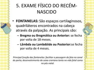 5. EXAME FÍSICO DO RECÉM-
NASCIDO
• FONTANELAS: São espaços cartilaginosos,
quadriláteros encontrados na cabeça
através da palpação. As principais são:
– Bregma ou Bregmática ou Anterior: se fecha
por volta de 18 meses.
– Lâmbda ou Lambdóide ou Posterior:se fecha
por volta de 4 meses.
Principal função das fontanelas: facilitar a passagem do feto no canal
do parto; desenvolvimento da caixa craniana tanto na vida fetal como
no pós-natal.
 