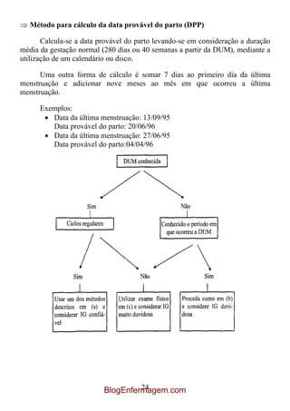 Método para cálculo da data provável do parto (DPP)

       Calcula-se a data provável do parto levando-se em consideração a duração
média da gestação normal (280 dias ou 40 semanas a partir da DUM), mediante a
utilização de um calendário ou disco.

      Uma outra forma de cálculo é somar 7 dias ao primeiro dia da última
menstruação e adicionar nove meses ao mês em que ocorreu a última
menstruação.

      Exemplos:
         Data da última menstruação: 13/09/95
         Data provável do parto: 20/06/96
         Data da última menstruação: 27/06/95
         Data provável do parto:04/04/96




                                   24
                          BlogEnfermagem.com
 