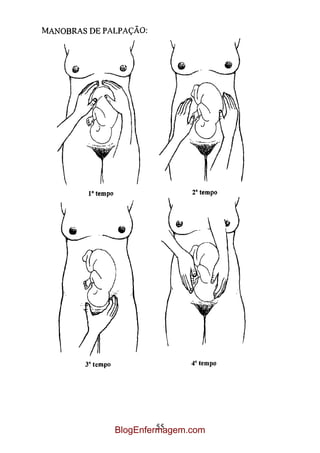 55
BlogEnfermagem.com
 