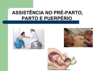ASSISTÊNCIA NO PRÉ-PARTO,
PARTO E PUERPÉRIO
 