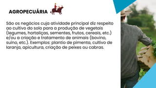 São os negócios cuja atividade principal diz respeito
ao cultivo do solo para a produção de vegetais
(legumes, hortaliças, sementes, frutos, cereais, etc.)
e/ou a criação e tratamento de animais (bovino,
suíno, etc.). Exemplos: plantio de pimenta, cultivo de
laranja, apicultura, criação de peixes ou cabras.
AGROPECUÁRIA
 