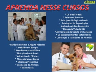 * Os Sinais Vitais
* Primeiros Socorros
* Princípios Cirúrgicos Gerais
• Patologias da Reprodução
• Aplicação de Medicamentos
* Etapas da Vida do Cão
* Alimentação da Cadela em Lactação
* Os Estabelecimentos Veterinários
* Contenção e Transporte de Animais
* Espécies Exóticas e Alguns Pássaros
* Trabalho em Equipe
* Atendimento ao Público
* Nutrição dos Animais
* Alimentando Filhotes
* Alimentando os Gatos
* Medicina Preventiva
* Vacinação de Animais
* Verminoses
2 Etapa
Treinamentos e Consultoria
 