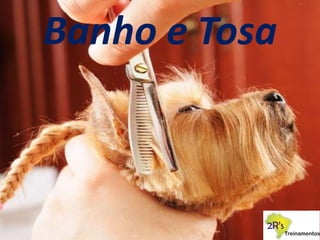 Banho e Tosa
 