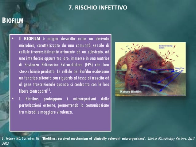 Trattamento di sanguisughe di gambe varicose