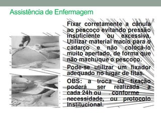 Assistência de Enfermagem
 