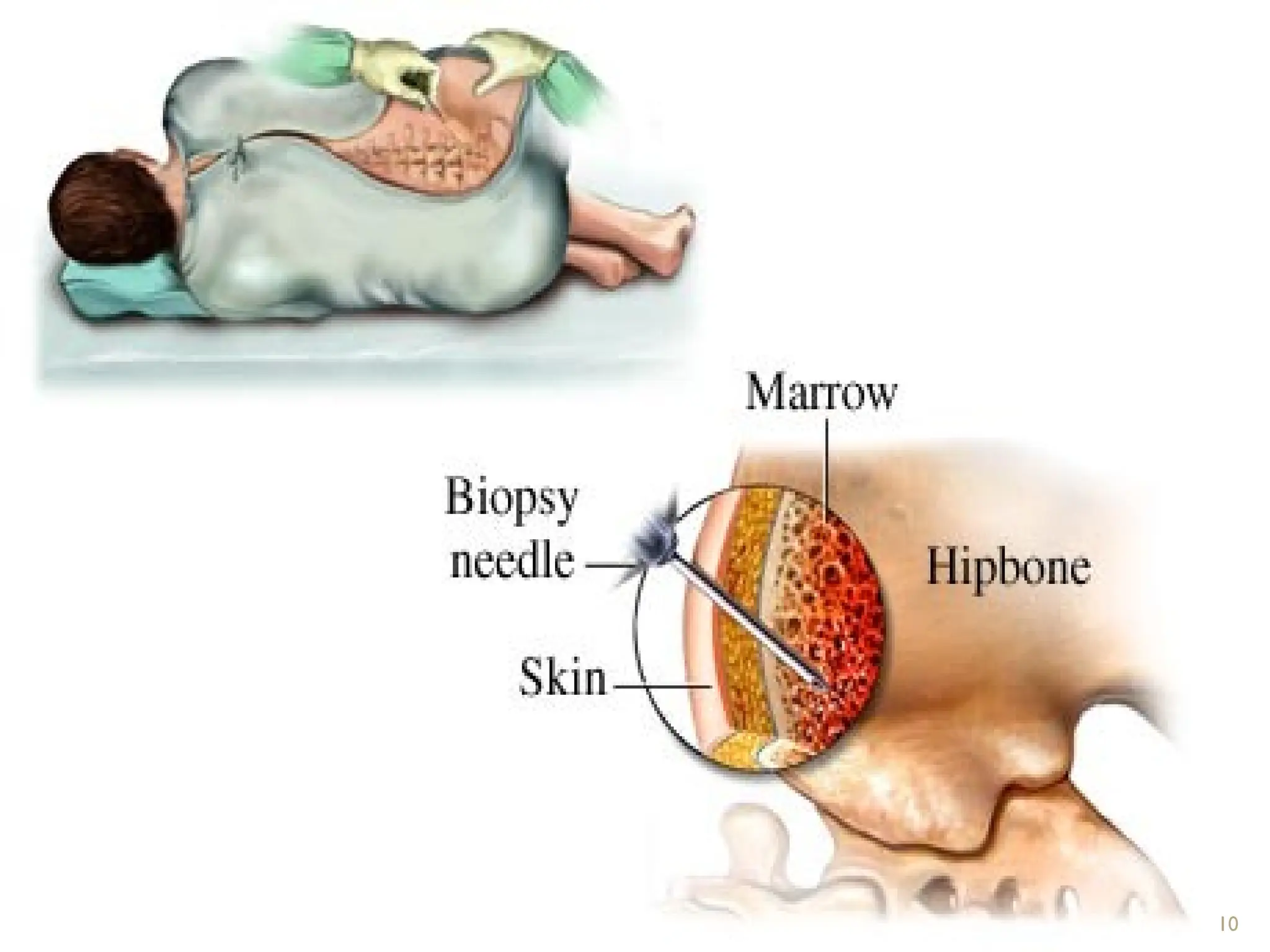 10/23/2024 by abraham A 10
 