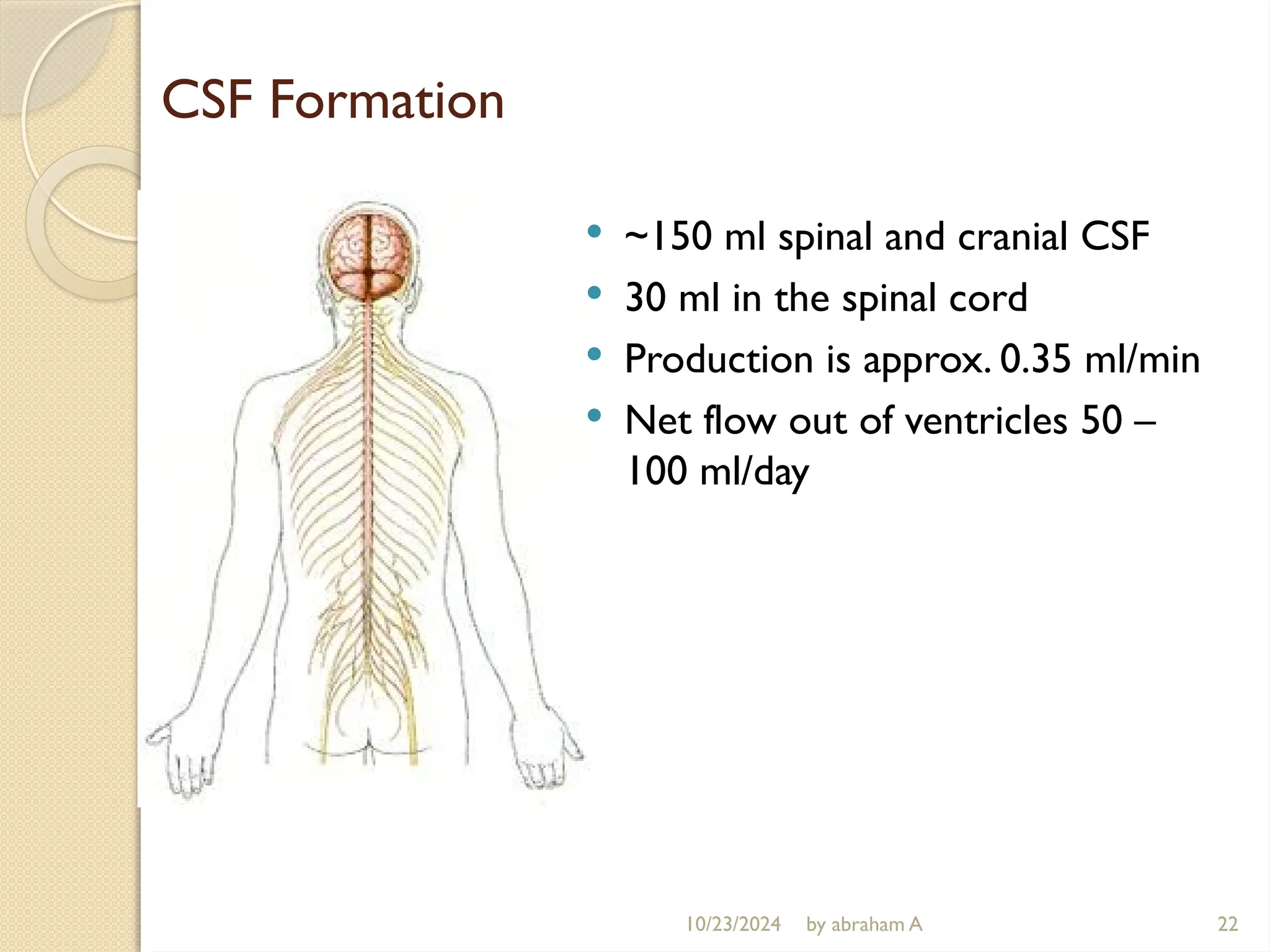 CSF Formation
 ~150 ml spinal and cranial CSF
 30 ml in the spinal cord
 Production is approx. 0.35 ml/min
 Net flow out of ventricles 50 –
100 ml/day
22
10/23/2024 by abraham A
 