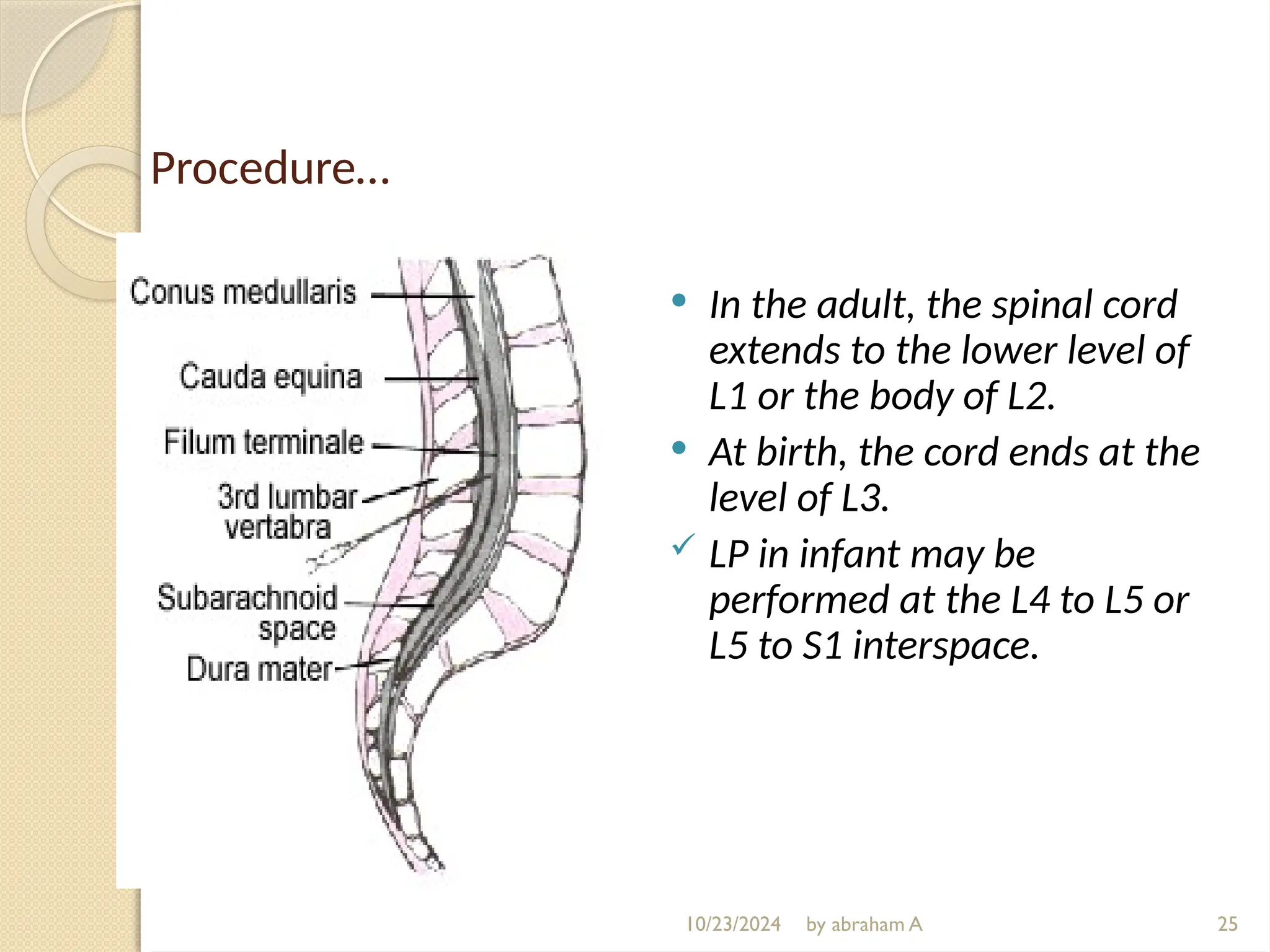 Procedure…
 In the adult, the spinal cord
extends to the lower level of
L1 or the body of L2.
 At birth, the cord ends at the
level of L3.
 LP in infant may be
performed at the L4 to L5 or
L5 to S1 interspace.
25
10/23/2024 by abraham A
 