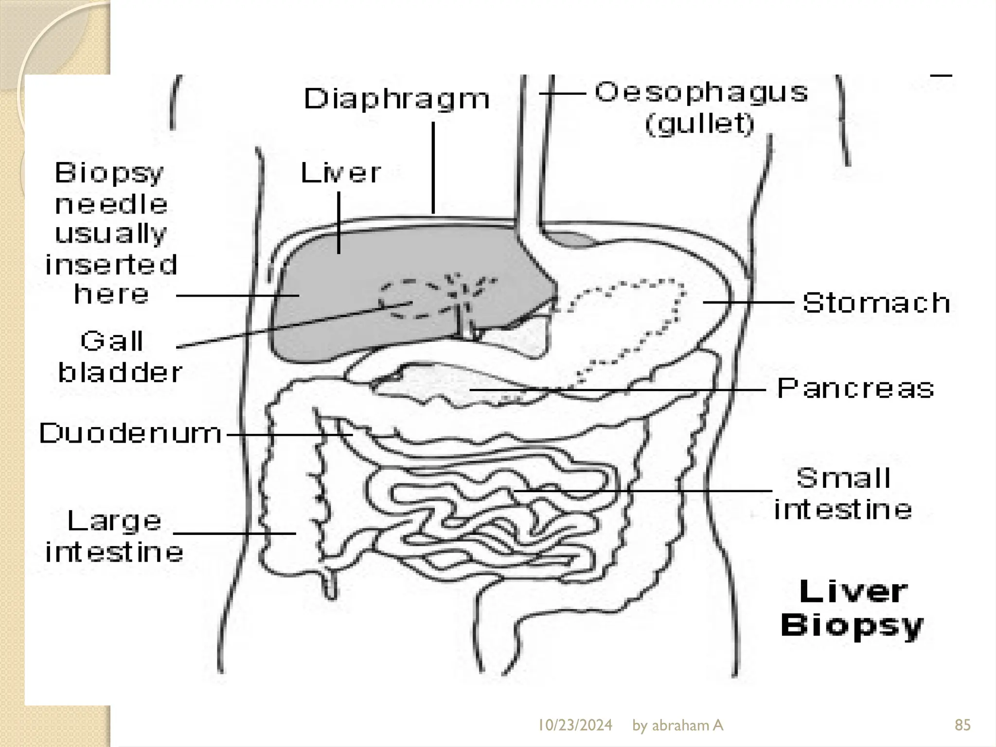 10/23/2024 by abraham A 85
 