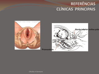  Hipoxemia por doença materna (cardiopatia, anemia grave, pneumopatias, estado febril)