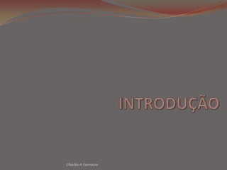 INTRODUÇÃOChirlei A Ferreira