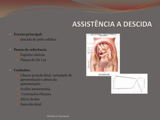 FASES CLINICAS DO TRABALHO DE PARTOChirlei A Ferreira