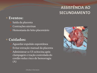 PELVIMETRIA MATERNA/REFERÊNCIAS FETAISChirlei A FerreiraSutura sagitalFontanela anteriorPromontórioBorda inf. sínfise púbicaEspinhas ciáticas