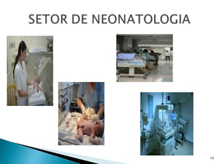 Assistência de enfermagem em neonatologia