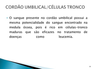 O sangue presente no cordão umbilical possui a mesma potencialidade do sangue encontrado na medula óssea, pois é rico em células-tronco maduras que são eficazes no tratamento de doenças como leucemia.  