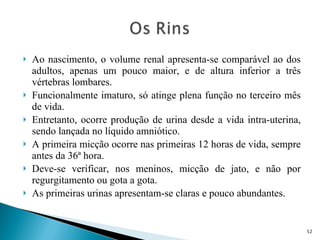 Ao nascimento, o volume renal apresenta-se comparável ao dos adultos, apenas um pouco maior, e de altura inferior a três vértebras lombares. Funcionalmente imaturo, só atinge plena função no terceiro mês de vida. Entretanto, ocorre produção de urina desde a vida intra-uterina, sendo lançada no líquido amniótico. A primeira micção ocorre nas primeiras 12 horas de vida, sempre antes da 36ª hora. Deve-se verificar, nos meninos, micção de jato, e não por regurgitamento ou gota a gota. As primeiras urinas apresentam-se claras e pouco abundantes. 