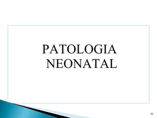 PATOLOGIA NEONATAL 