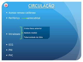 CIRCULAÇÃO
 Acesso venoso calibroso

 Periférico      antecubital



               Crista ilíaca anterior

               Maléolo medial
 Intraósseo
               Tuberosidade da tíbia



 ECG

 PNI

 PVC
 