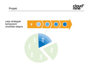 Projekt  varje strategisk komponent utvecklas stegvis