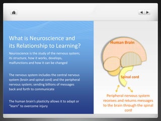 What is Neuroscience and
its Relationship to Learning?
Neuroscience is the study of the nervous system;
its structure, how it works, develops,
malfunctions and how it can be changed
The nervous system includes the central nervous
system (brain and spinal cord) and the peripheral
nervous system; sending billions of messages
back and forth to communicate
The human brain’s plasticity allows it to adapt or
“learn” to overcome injury
Human Brain
Spinal cord
Peripheral nervous system
receives and returns messages
to the brain through the spinal
cord
 