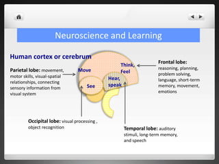 Human cortex or cerebrum
Frontal lobe:
reasoning, planning,
problem solving,
language, short-term
memory, movement,
emotions
Temporal lobe: auditory
stimuli, long-term memory,
and speech
Occipital lobe: visual processing ,
object recognition
Parietal lobe: movement,
motor skills, visual-spatial
relationships, connecting
sensory information from
visual system
Think,
Feel
Hear,
speakSee
Move
Neuroscience and Learning
 