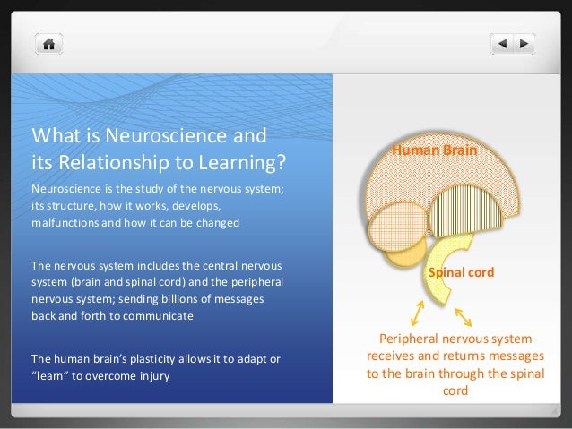 Neuroscience and Learning