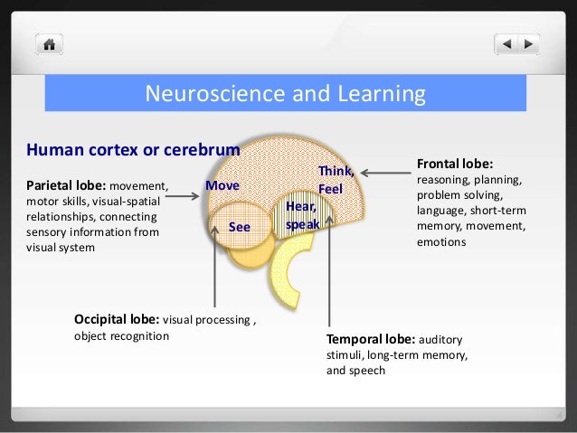 Neuroscience and Learning