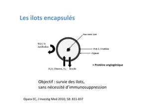 Les ilots encapsulés




                                              + Protéine angiogénique




           Objectif : survie des ilots,
           sans nécessité d’immunosuppression

 Opara EC, J Investig Med 2010; 58: 831-837
 