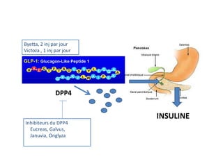 Byetta, 2 inj par jour
Victoza , 1 inj par jour

         GLP1




                DPP4


                           INSULINE
Inhibiteurs du DPP4
  Eucreas, Galvus,
  Januvia, Onglyza
 