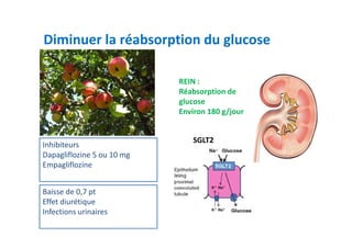 Diminuer la réabsorption du glucose

                            REIN :
                            Réabsorption de
                            glucose
                            Environ 180 g/jour


                               SGLT2
Inhibiteurs
Dapagliflozine 5 ou 10 mg
Empagliflozine


Baisse de 0,7 pt
Effet diurétique
Infections urinaires
 