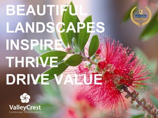 BEAUTIFUL LANDSCAPES  INSPIRE THRIVE DRIVE VALUE 