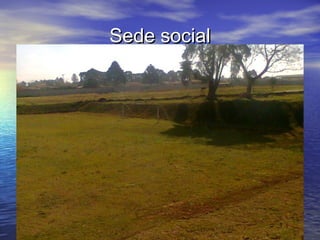 Sede socialSede social
 